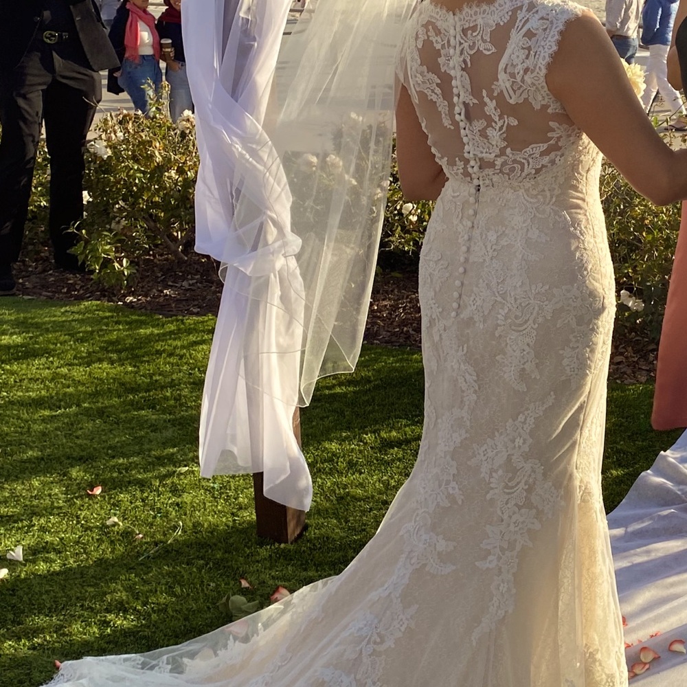 Pronovias ETQ - VESTIDO Elegant Mermaid gown crafted in rich Beautiful lace.